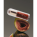 Глянцевое масло-тинт для губ "Cozy Fig" - Axis-Y Vita Glow Lip Oil Cozy Fig фото 3