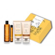 Набор миниатюр для восстановления волос - Curly Shyll Mini Recovery Set 