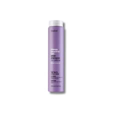 Шампунь антижелтый для седых и осветленных волос - Erayba ABH Silver No-Yellow Shampoo 