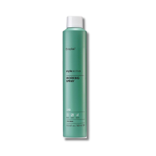 Лак средней фиксации - Erayba Style Active S10 Working Spray 