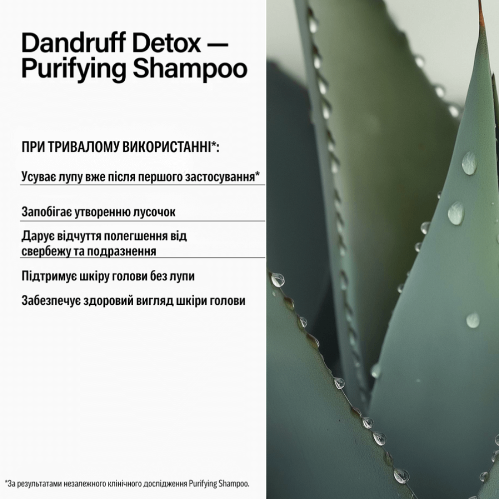 Шампунь против перхоти - Keune Care Dandruff Detox Purifying Shampoo фото 2