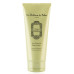 Молочко для тіла "Зелений чай та Імбир" - La Sultane de Saba Lait Corporel Body Lotion The Vert Gingembre фото