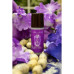 Дезодорант-антиперспирант «Мускус, ладан и ваниль» - La Sultane De Saba Anti-Perspirant Deodorant Musk Incense Vanilla фото 2