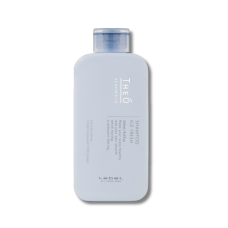 Освежающий мужской шампунь - Lebel Theo Standard Shampoo Ice Fresh 
