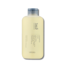 Увлажняющий мужской шампунь - Lebel Theo Standard Shampoo Mild 