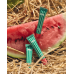 Блиск для губ "Херсонський Кавун" - Lipss Lipper Kherson Watermelon Lip Gloss фото 3