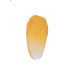 Пилинг для лица - Perricone MD Vitamin C Ester Brightening & Exfoliating Polish фото 3