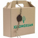 Подарунковий набір для волосся (3 Продукти) - Xiaomoxuan Hair Gift Set (3 products) №2 фото 2