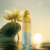 Гель-пена для душа - Rituals The Ritual of Seshen Foaming Shower Gel фото 3