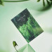 Розслаблююча маска для обличчя - Skin1004 Madagascar Centella Tea-Trica Relaxing Mask фото 4