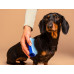 Расчёска для вычёсывания собаки - Tangle Teezer Pet Teezer Mini De-shedding&Grooming Blue фото 2