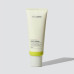 Кислотний скраб-пілінг для шкіри голови - Who Cares Pumpkin Protein Scalp Scrub фото 2