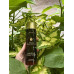 Кондиціонер для сяйва волосся - L'anza Keratin Healing Oil Lustrous Conditioner фото 3