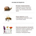 Крем с муцином улитки и пчелиным ядом - Benton Snail Bee High Content Steam Cream фото 3