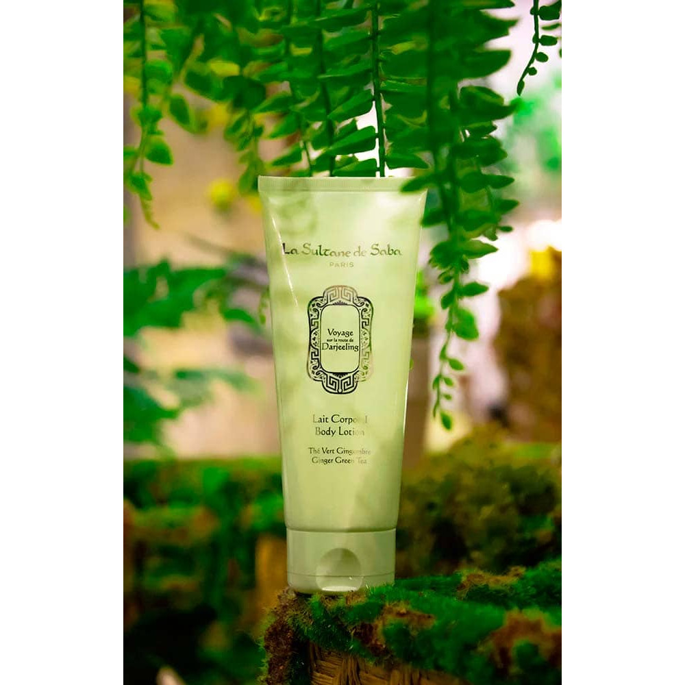 Молочко для тіла "Зелений чай та Імбир" - La Sultane de Saba Lait Corporel Body Lotion The Vert Gingembre фото 4