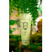 Молочко для тіла "Зелений чай та Імбир" - La Sultane de Saba Lait Corporel Body Lotion The Vert Gingembre фото 4