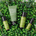 Набір мініатюр з зеленим чаєм - Benton Deep Green Tea Trial Kit фото 3