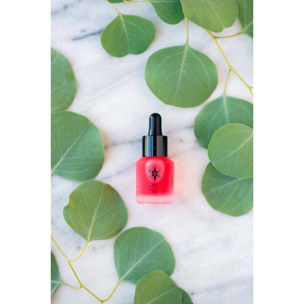 Омолоджуючий гель для обличчя - Phyto-C Velvet Gel фото 2