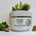 Послепроцедурный крем "Алоэ Вера" - Styx Naturcosmetic Aroma Derm Cello Cream Aloe Vera фото 5
