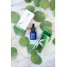 Сироватка з фруктовими кислотами - Phyto-C Active Serum фото 4
