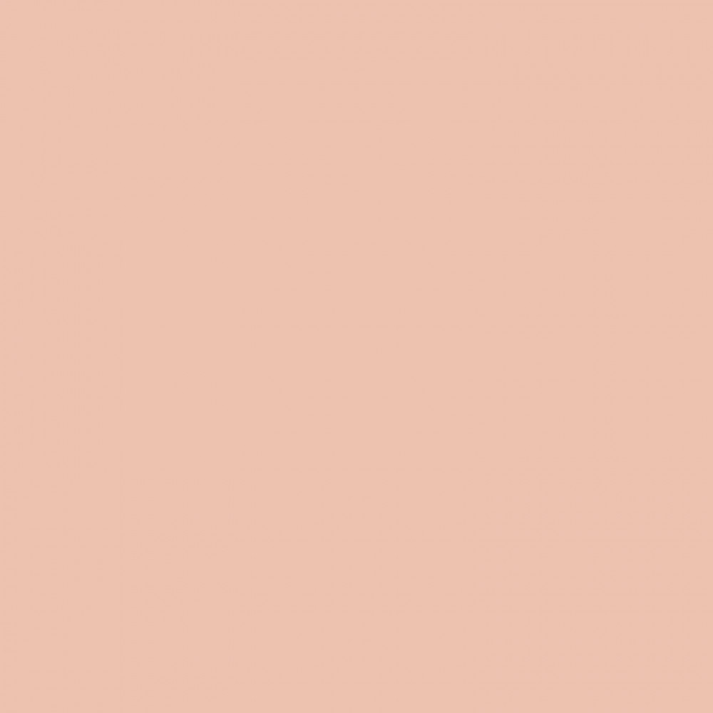 ВВ-крем с тонирующим эффектом, 5 в 1- Erborian BB Cream Nude Au Ginseng SPF20 фото 4
